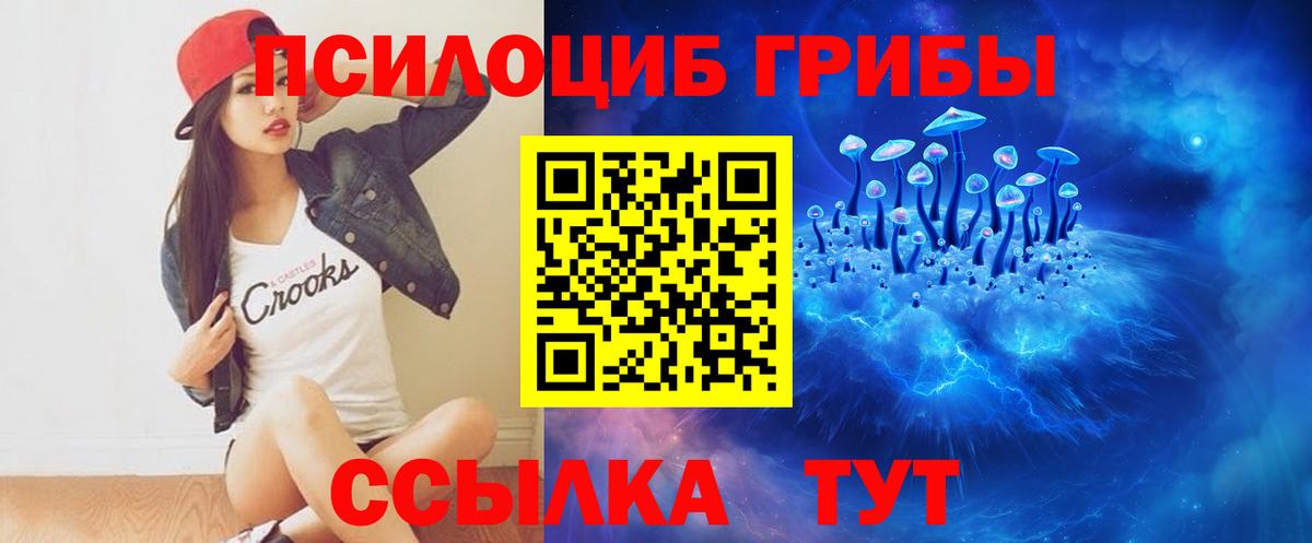 Саяногорск  Псилоцибиновые грибы Magic Shrooms  Вход с VPN 